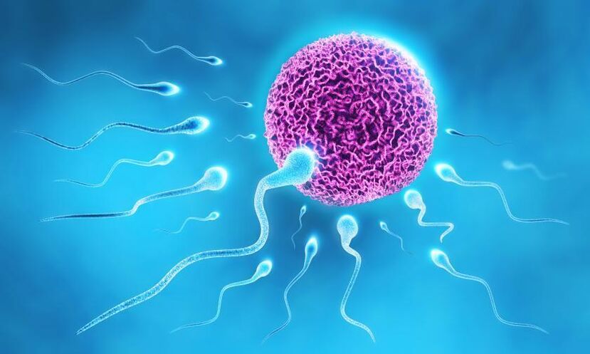 Sperma dalam komposisi pelincir pada lelaki